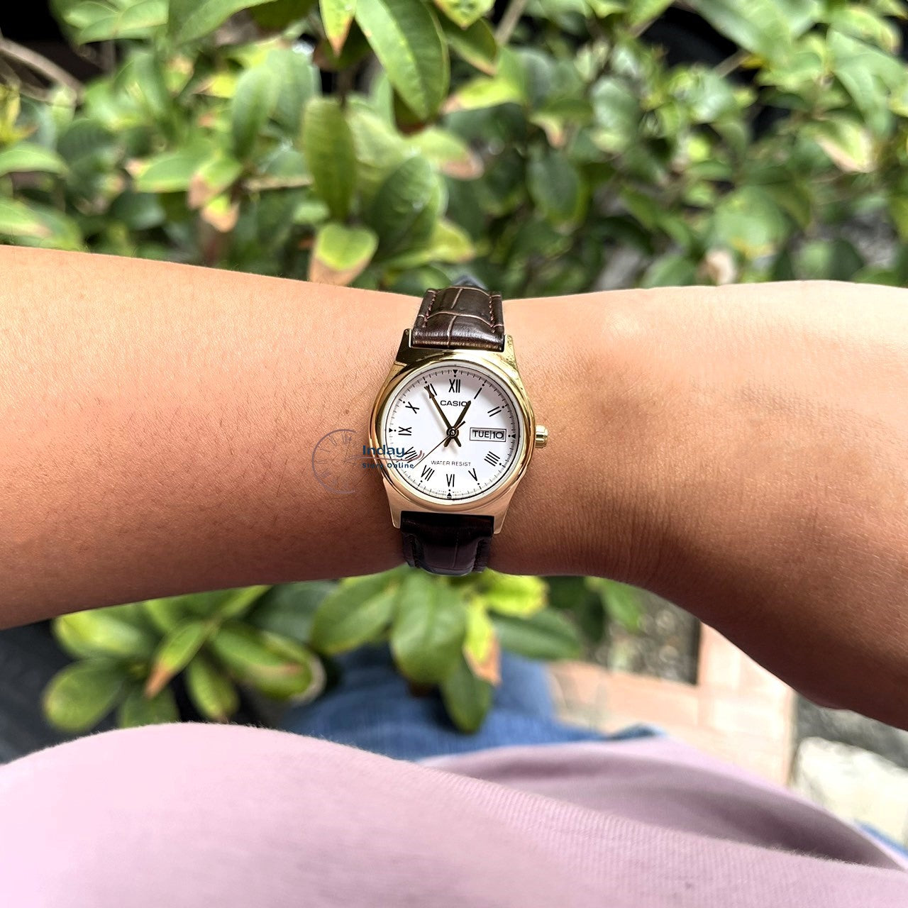 Casio Standard Women's Watch LTP-V006GL-7B Brown Leather Strap