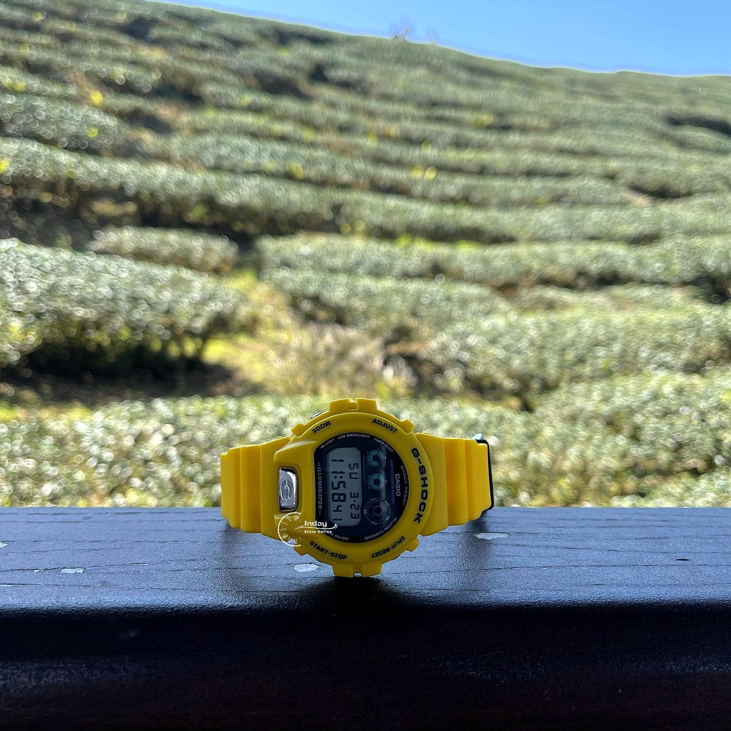 Casio G-Shock Men's Watch DW-6900TR-9 Mineral Glass Shock Resistant Battery Life: 5 Years