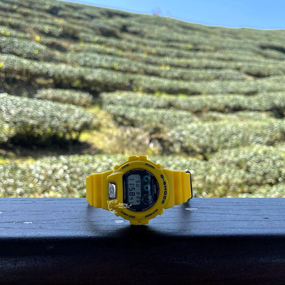 Casio G-Shock Men's Watch DW-6900TR-9 Mineral Glass Shock Resistant Battery Life: 5 Years